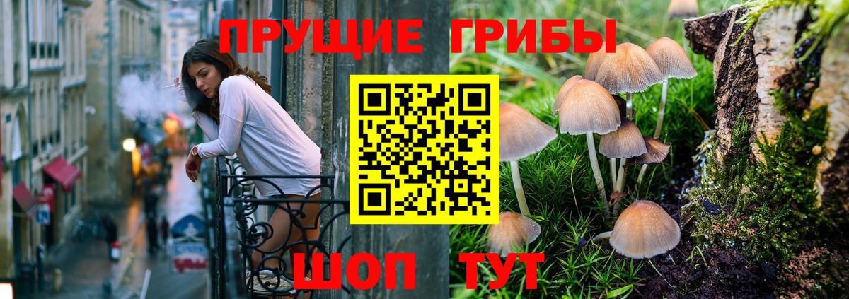 Орехово-Зуево  Галлюциногенные грибы мицелий  Вход с VPN  Галлюциногенные грибы GOLDEN TEACHER 