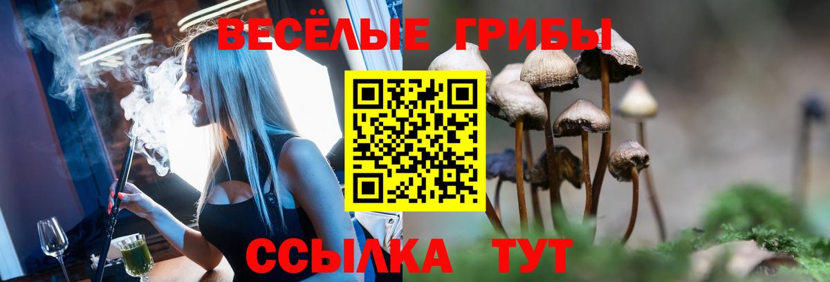 Псилоцибиновые грибы Cubensis Орехово-Зуево